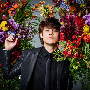 香蕉免费看视频
